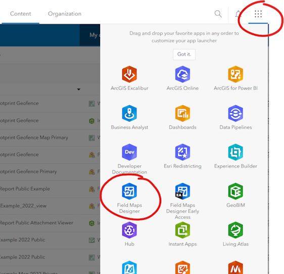 Launch field maps designer