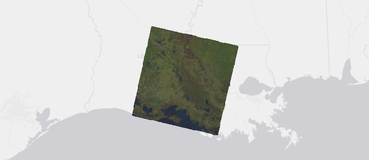 Single Landsat image covering part of Louisiana